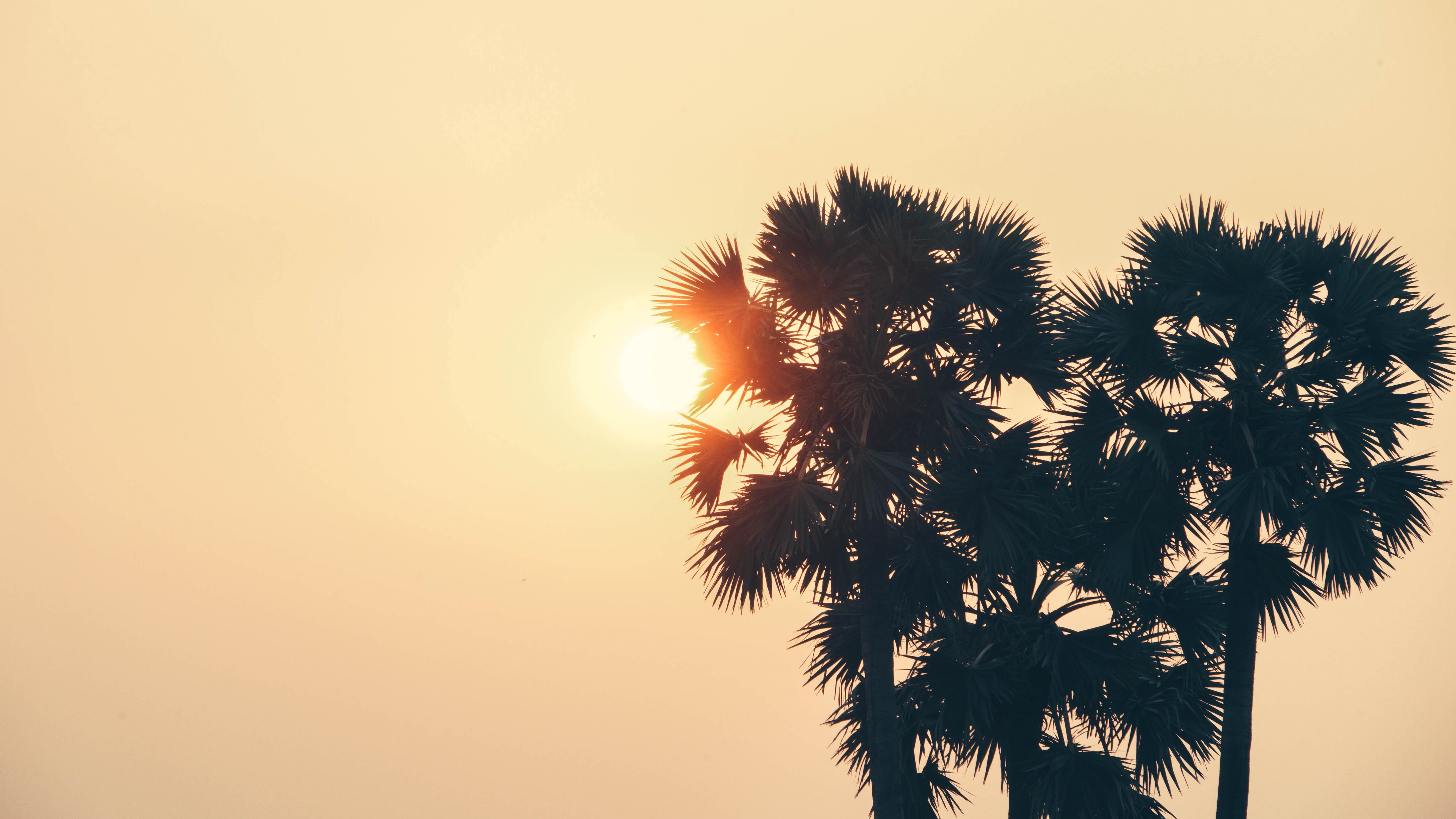 7 bons plans vacances pour un été au soleil